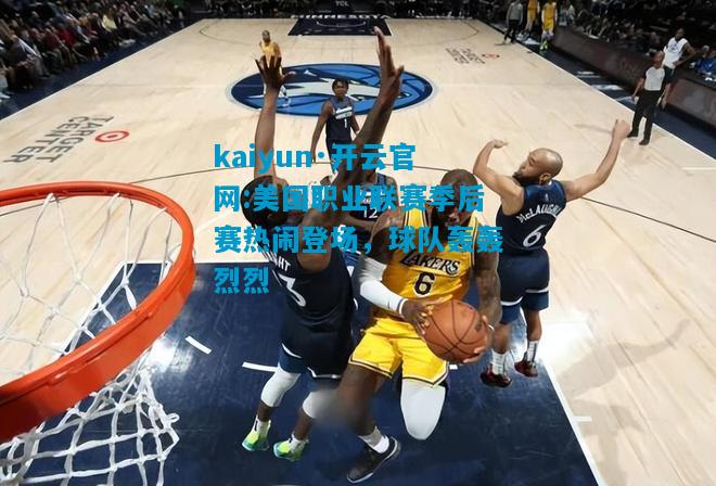美国职业联赛季后赛热闹登场，球队轰轰烈烈