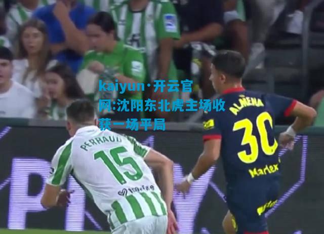 kaiyun·开云官网:沈阳东北虎主场收获一场平局