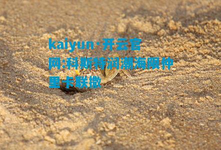 kaiyun·开云官网:科斯特润潮海限仲里卡联撒