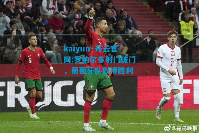 kaiyun·开云官网:罗纳尔多射门破门，葡萄牙队取得胜利