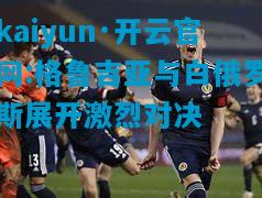 格鲁吉亚与白俄罗斯展开激烈对决