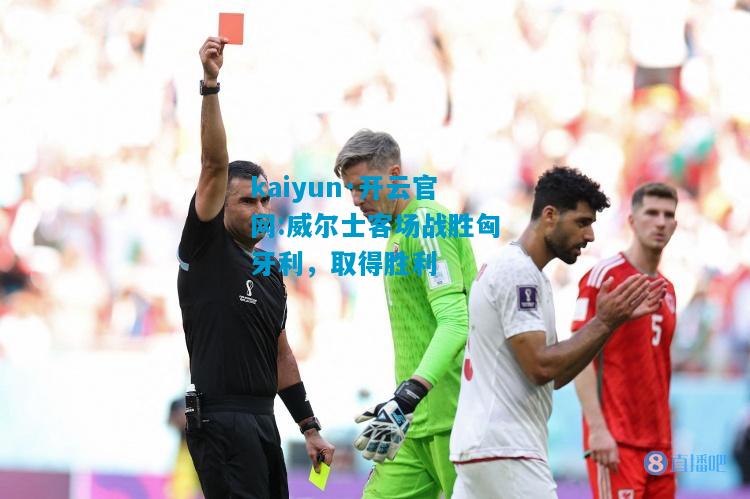 kaiyun·开云官网:威尔士客场战胜匈牙利，取得胜利