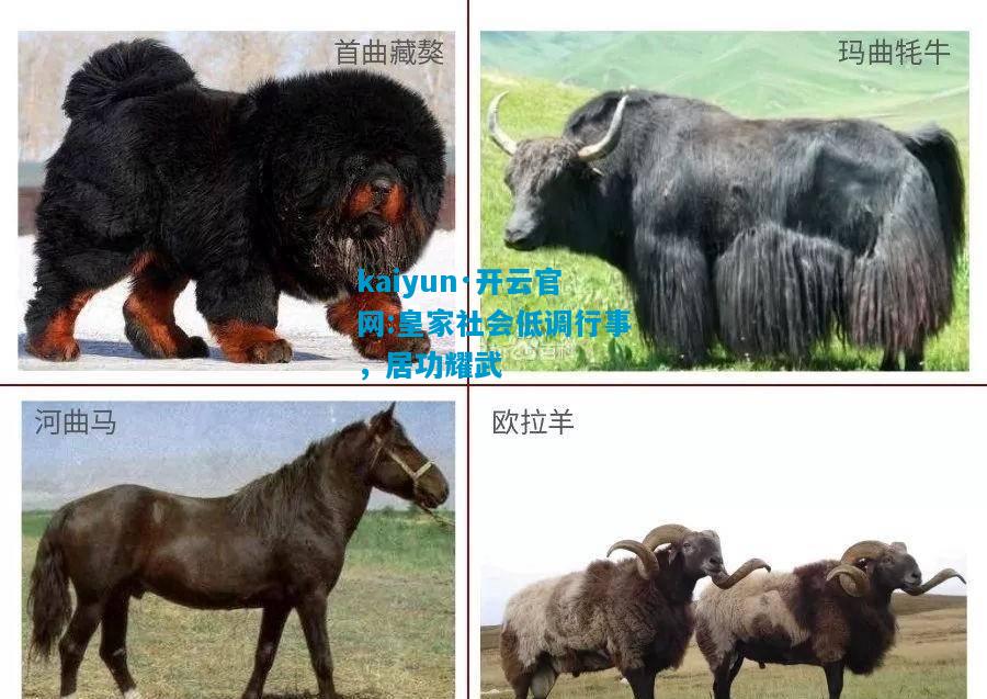 kaiyun·开云官网:皇家社会低调行事，居功耀武