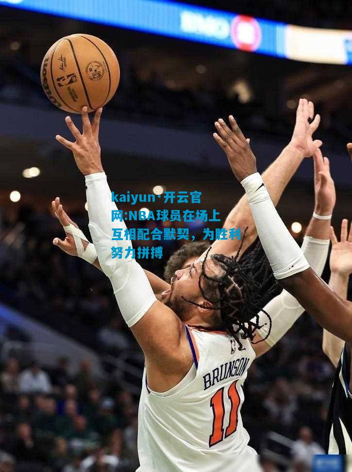 kaiyun·开云官网:NBA球员在场上互相配合默契，为胜利努力拼搏