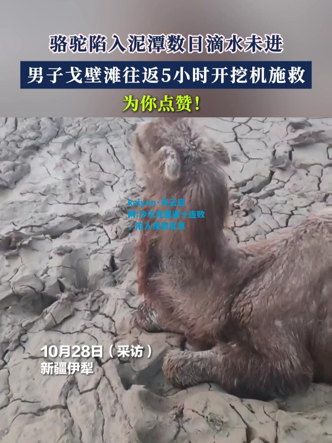 kaiyun·开云官网:沙尔克遭遇十连败，陷入保级泥潭